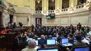 La Cámara alta le propinó esta madrugada un duro revés al gobierno de Milei.