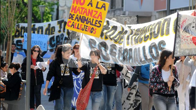 Detalle. Para contactarse con la entidad