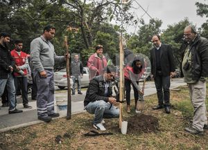 Programa de reconstrucción: presentaron el plan de forestación 2016 para la ciudad