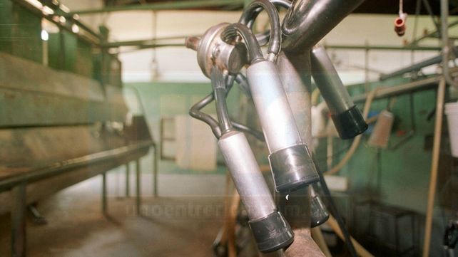 La producción láctea tuvo en 2016 la peor caída en 46 años