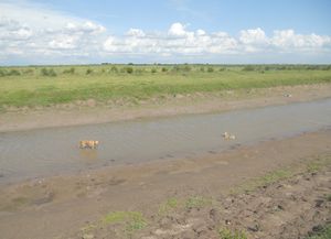 Pese al compromiso, Santiago no libera el agua del río Salado