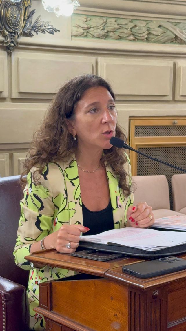 Media sanción del Senado al proyecto de Leticia Di Gregorio que promueve inversiones privadas en obras públicas
