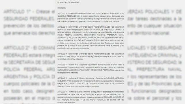 Crearon un comando antisaqueos.