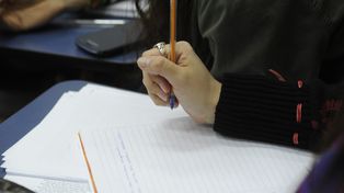 Contenidos priorizados y tutorías