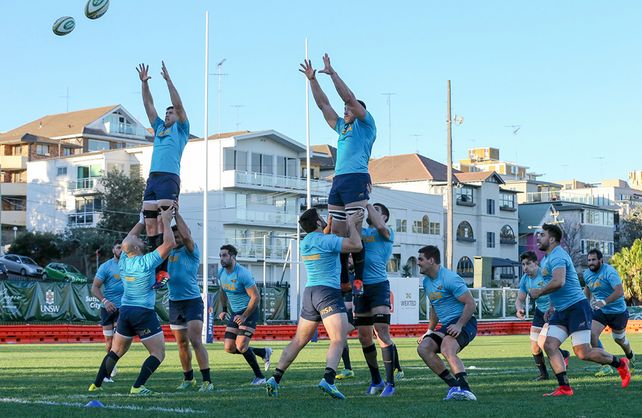 Los Pumas esperan por el choque ante los Wallabies
