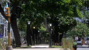 Inaugurarán la primera etapa de reconstrucción de Bulevar Gálvez