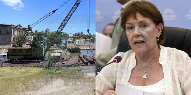 La diputada nacional Blanca Osuna defendió la ley