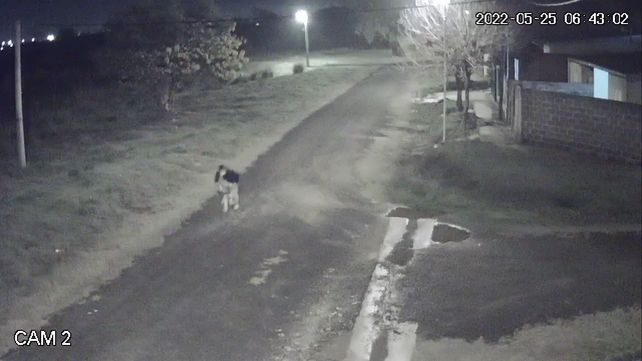Vicoer 46 Viviendas: ladrón ingresó a una vivienda mientras los dueños dormían