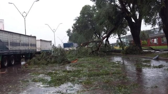 Feroz temporal de lluvia, viento y granizo provocó graves destrozos en Santa Fe y Córdoba