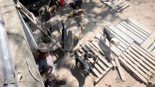 Sin solución para la reubicación del refugio El Ángel y la Gloria