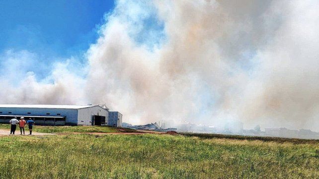 El galpón en el ingreso a Federal quedó totalmente destruido por las llamas.
