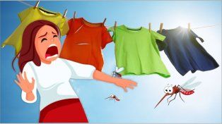 Mosquitos al ataque