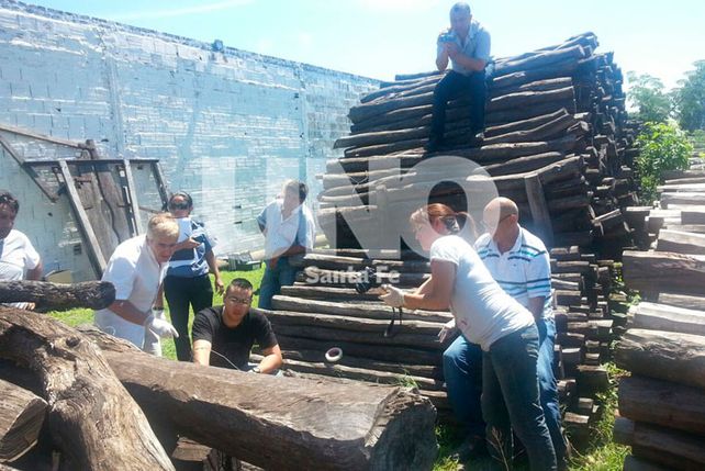 La joven de Ceres. Fue hallada estrangulada en un predio donde se guardan postes