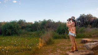 Concordia propone actividades de naturaleza, patrimonio, termas, gastronomía y experiencias para el fin de semana largo.