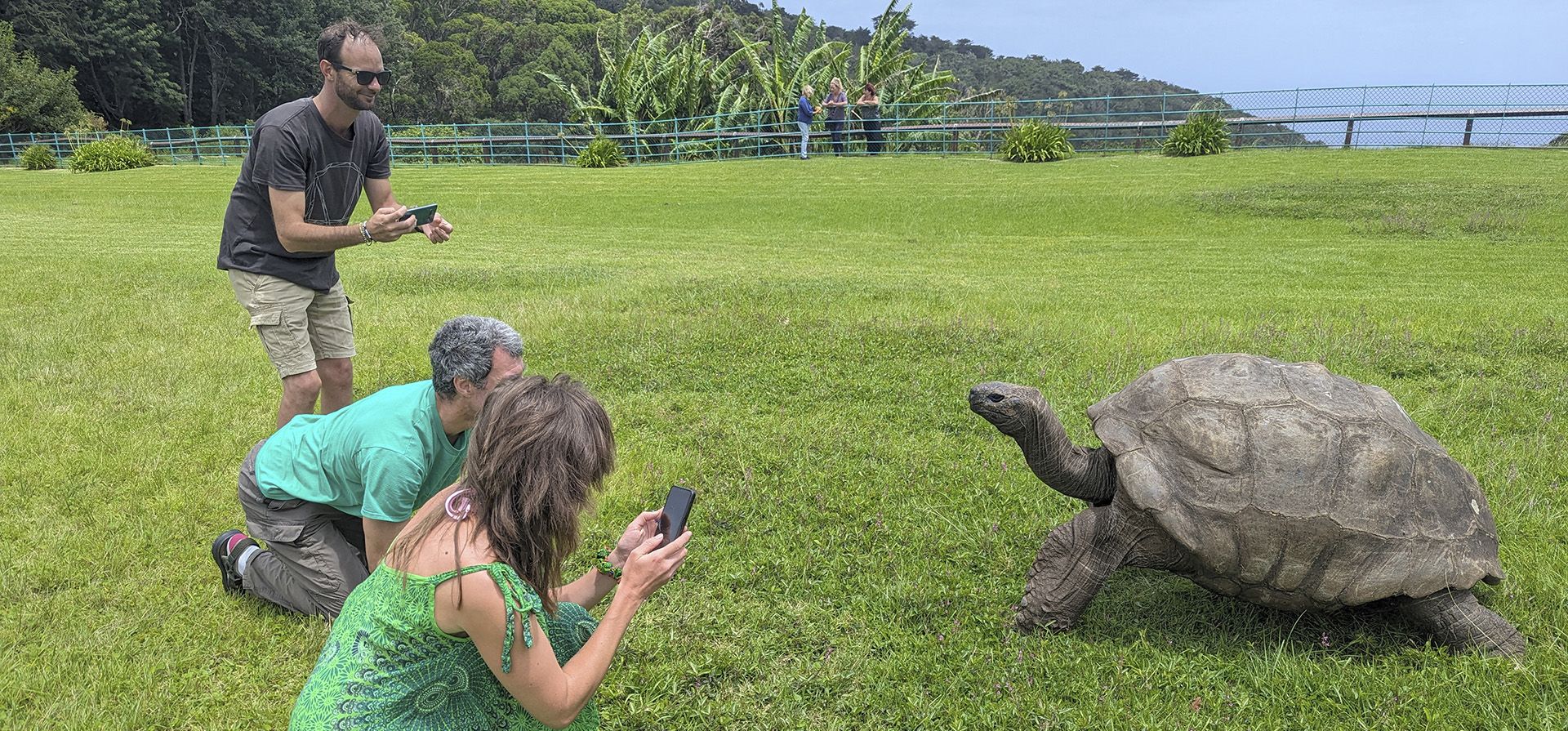 Turistas toman fotografías de Jonathan, una tortuga de 192 años, en el césped de Plantation House en la isla de Santa Elena, en el Atlántico sur, el jueves 22 de febrero de 2024. (Foto AP/Nicole Evatt) Turistas toman fotografías de Jonathan, una tortuga de 192 años, en el césped de Plantation House en la isla de Santa Elena, en el Atlántico sur, el jueves 22 de febrero de 2024. (Foto AP/Nicole Evatt)