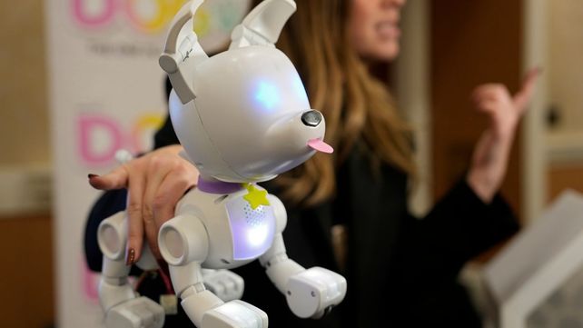 Robots, realidad virtual, TVs inalámbricas, metaverso para niños y aplicaciones para perros desembarcaron en el CES