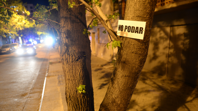 Un pedido para mejorar el arbolado público de la ciudad.
