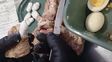 Una mujer intentó ingresar cocaína oculta en bifes a la cárcel de Las Flores y terminó detenida