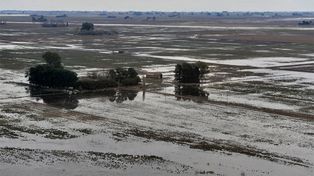 Por las inundaciones se perdieron 100 mil hectáreas de cultivo en el sur de Santa Fe