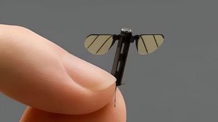 Video: China presentó su nuevo dron espía del tamaño de un mosquito
