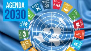 ¿Qué postura puede tomar Argentina en la agenda global ambiental?