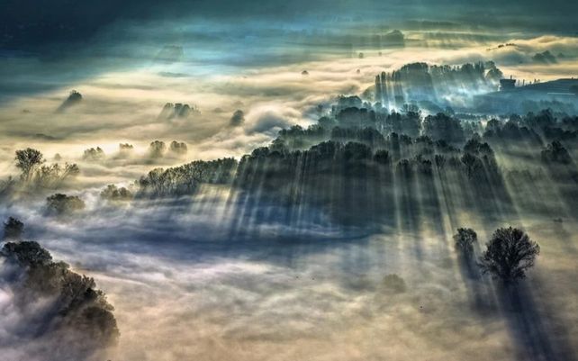 Niebla de la mañana