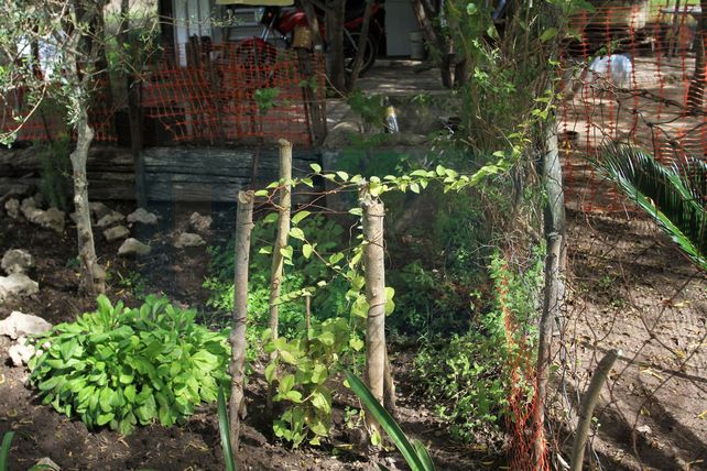 Esther Gardella: Una vida dedicada a alimentar la fe y a devolver la esperanza