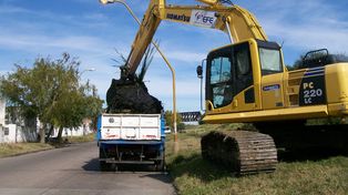 Sacaron 15 toneladas de basura