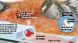 Descubren bacterias que viven sin luz ni ox&iacute;geno bajo el hielo ant&aacute;rtico