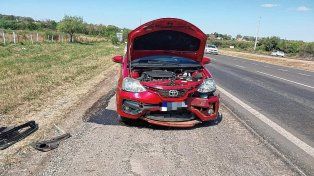 Acceso Norte: un automóvil chocó y mató a un caballo