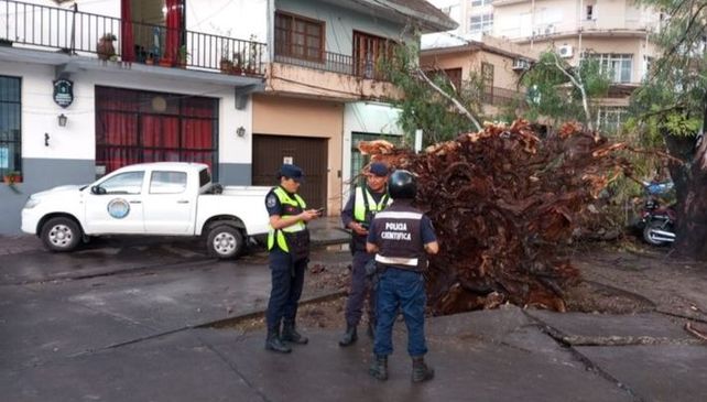 La ciudad de Salta vivió un verdadero temporal en la tarde de este sábado. El viento causó destrozos.