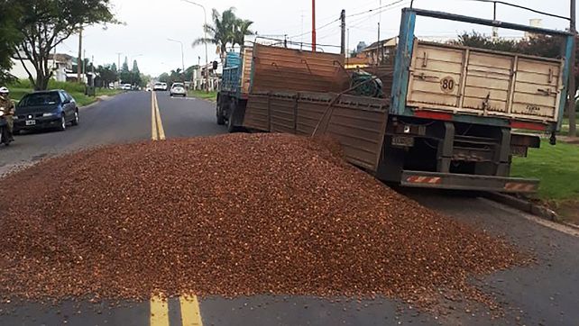 Un camión perdió la carga completa de canto rodado en avenida Zanni&nbsp;