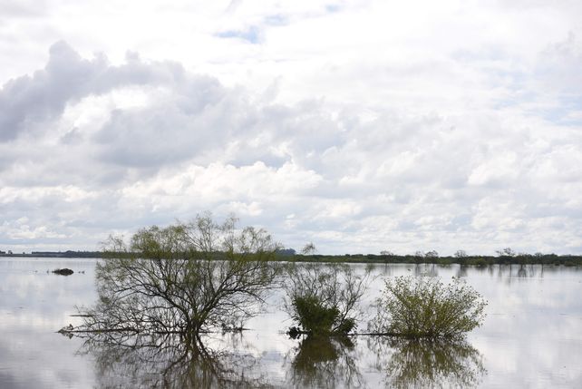 Postal repetida. El desborde de cursos de agua y el avance sobre campos y pueblos es recurrente.