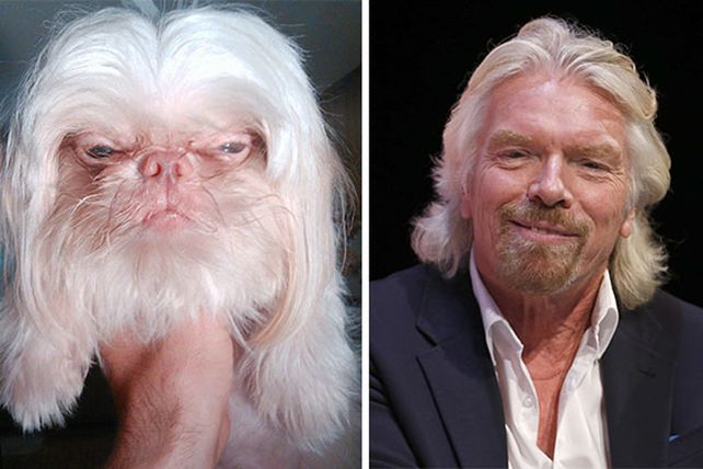 Personas, animales y objetos que son similares entre sí