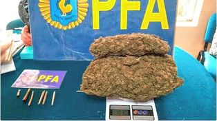 Hallan marihuana en una escuela rural: investigan si fue cosechada en el establecimiento educativo