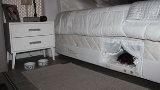 Una novedosa cama incluye un lugar especial para poder dormir con las mascotas