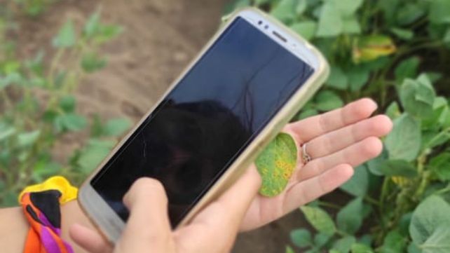 La pauta de dónde hay que hacer foco la define quien adopta la tecnología.