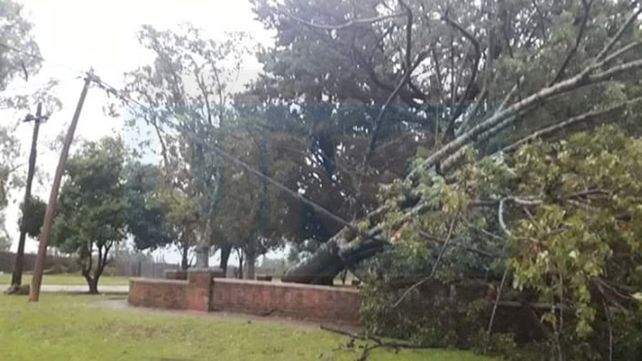 Violenta tormenta en Basavilbaso