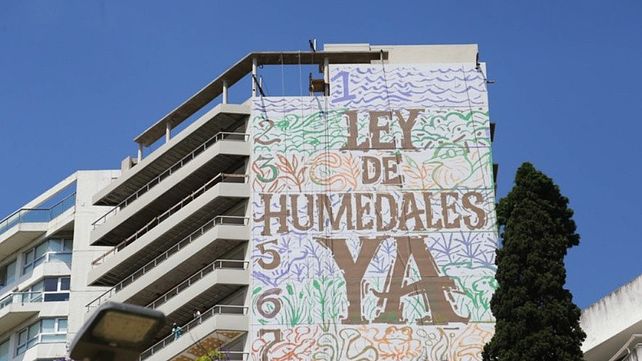 Mural de Lionel Messi y el pedido por la Ley de Humedales