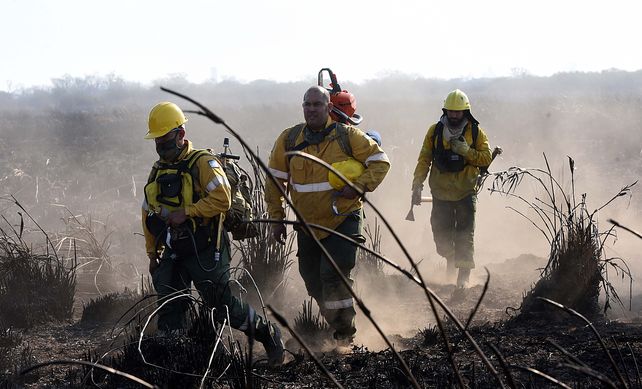 Tarea incansable. Los brigadistas trabajan a destajo para sofocar las llamas en el medio del ecocidio.
