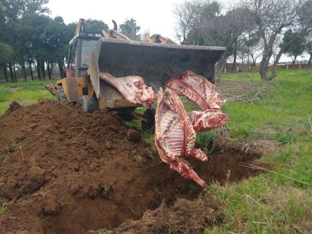 Llevaban 250 kilos de carne en mal estado y los atraparon