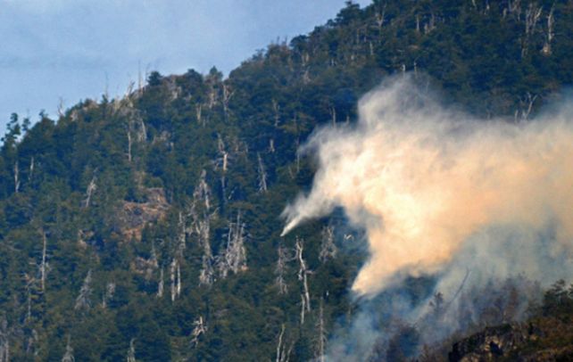 devastador. El fuego avanza sobre pastizales y bosques de la cordillera.