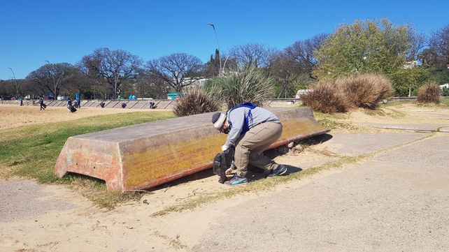 Jornada de limpieza de la costa del Paraná: recogen 900 kilos de residuos, en su mayoría plásticos