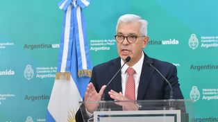 El ministro de Agricultura, Julián Domínguez, anunció el Plan Ganadero Nacional.