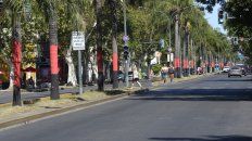 Las palmeras habían sido hidrolavadas en noviembre del año pasado, pero el vandalismo volvió a ocurrir. Las palmeras habían sido hidrolavadas en noviembre del año pasado, pero el vandalismo volvió a ocurrir.