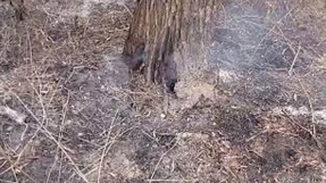 Video: aún después de la lluvia sigue saliendo humo en isla Deseada