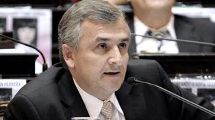 Morales: Hay militantes verdes que quieren que mate al bebé que nació”