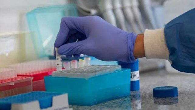 Coronavirus: se registraron 13 nuevas muertes en el país