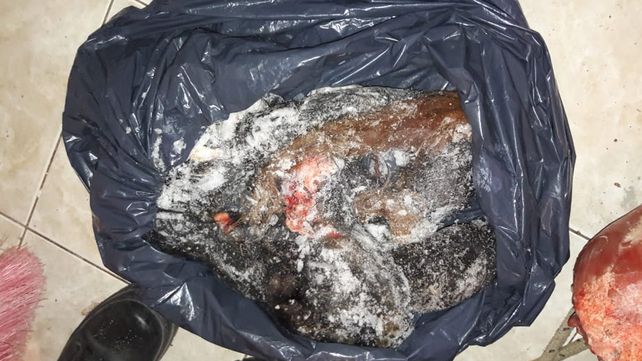 Secuestraron en Buenos Aires una tonelada de carne vacuna robada en Santa Fe