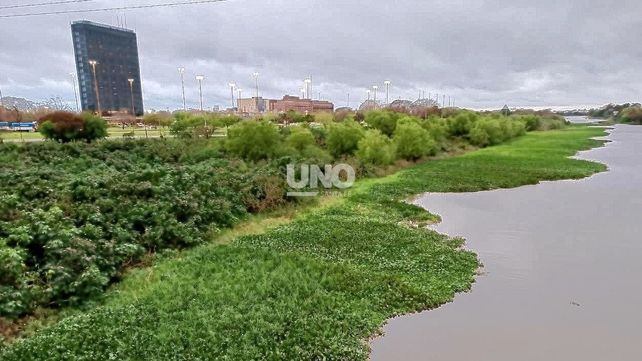 Preocupación en los clubes náuticos por el crecimiento del embalsado en el Richo Santa Fe. Foto: José Busiemi / UNO Santa Fe